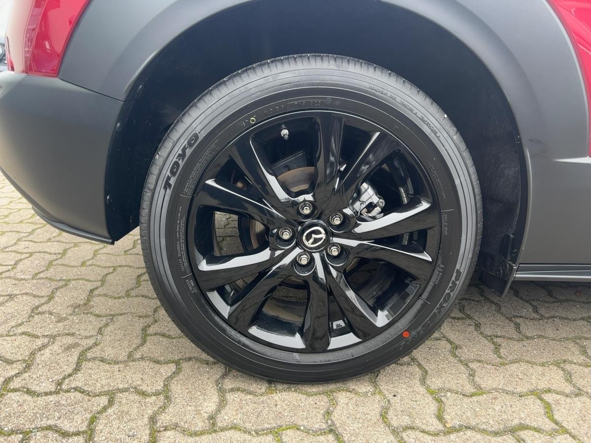 Fahrzeug-Bild 6