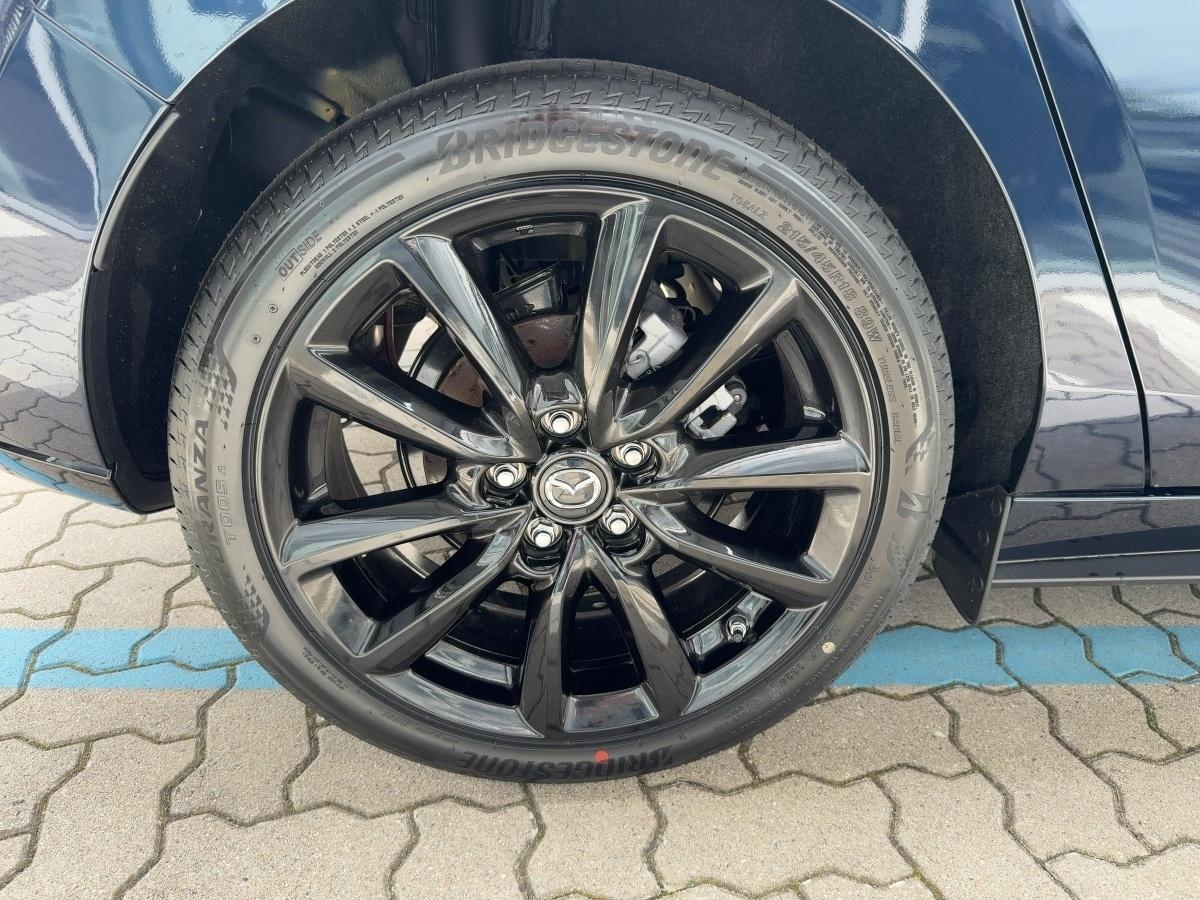 Fahrzeug-Bild 6