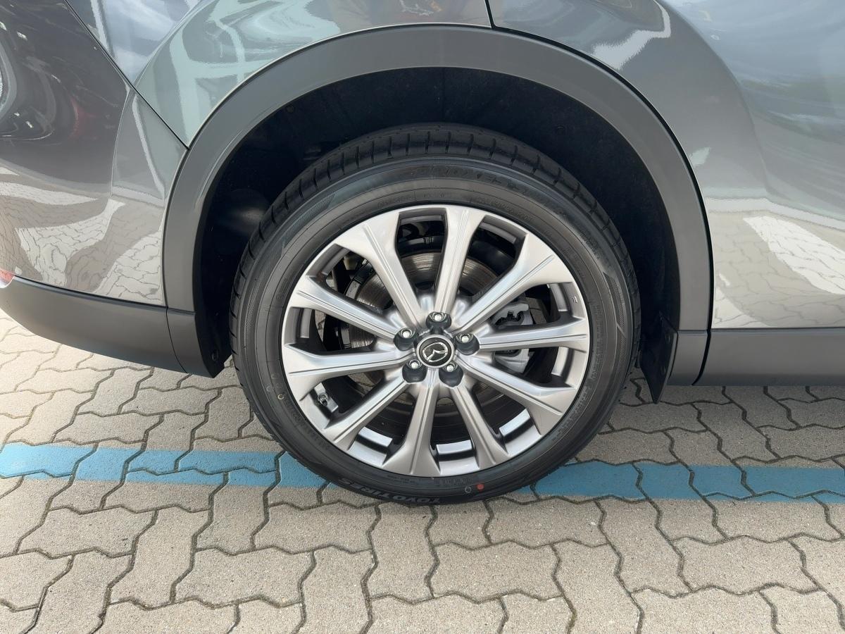 Fahrzeug-Bild 6