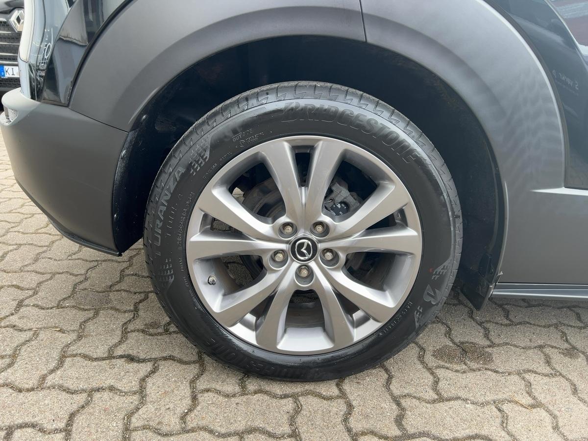 Fahrzeug-Bild 6