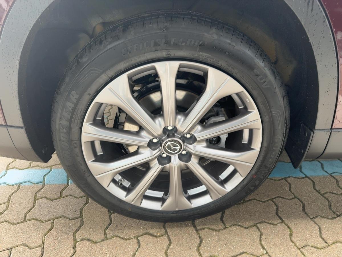 Fahrzeug-Bild 6