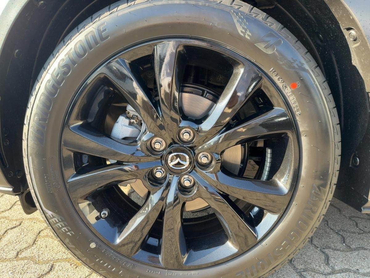 Fahrzeug-Bild 6