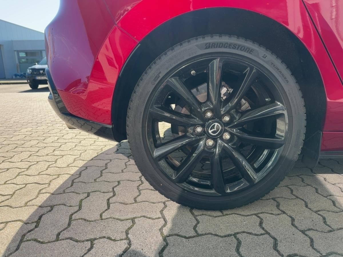 Fahrzeug-Bild 6