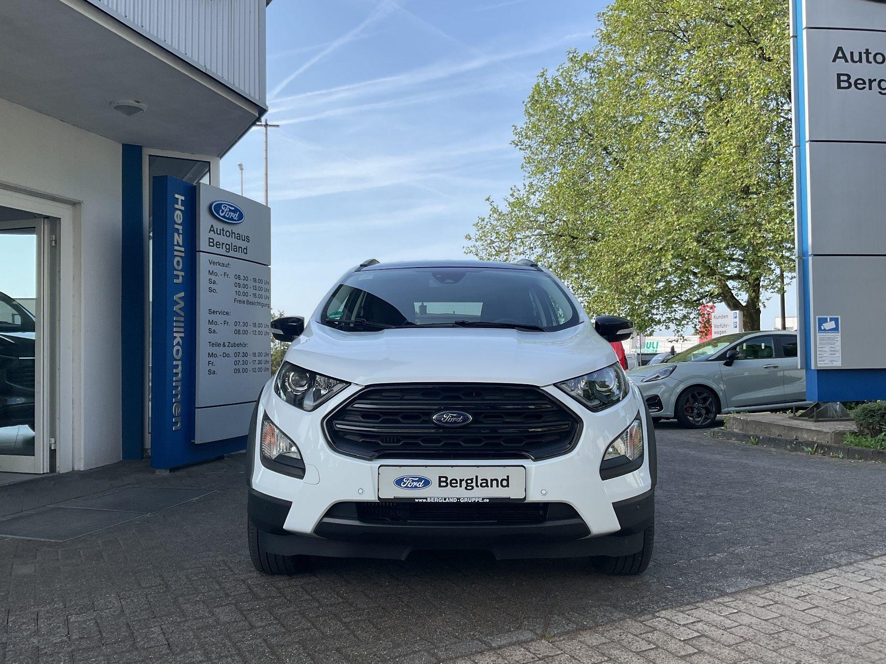 FORD Active 140PS *SHZ*GRA*PDC*RFK*Ke*B&O*LM FORD Active 140PS *SHZ*GRA*PDC*RFK*Ke*B&O*LM