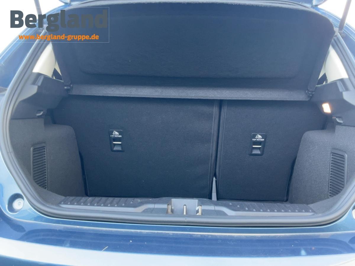 FORD Titanium 1.0L MHEV *Winter-Paket FORD Titanium 1.0L MHEV *Winter-Paket