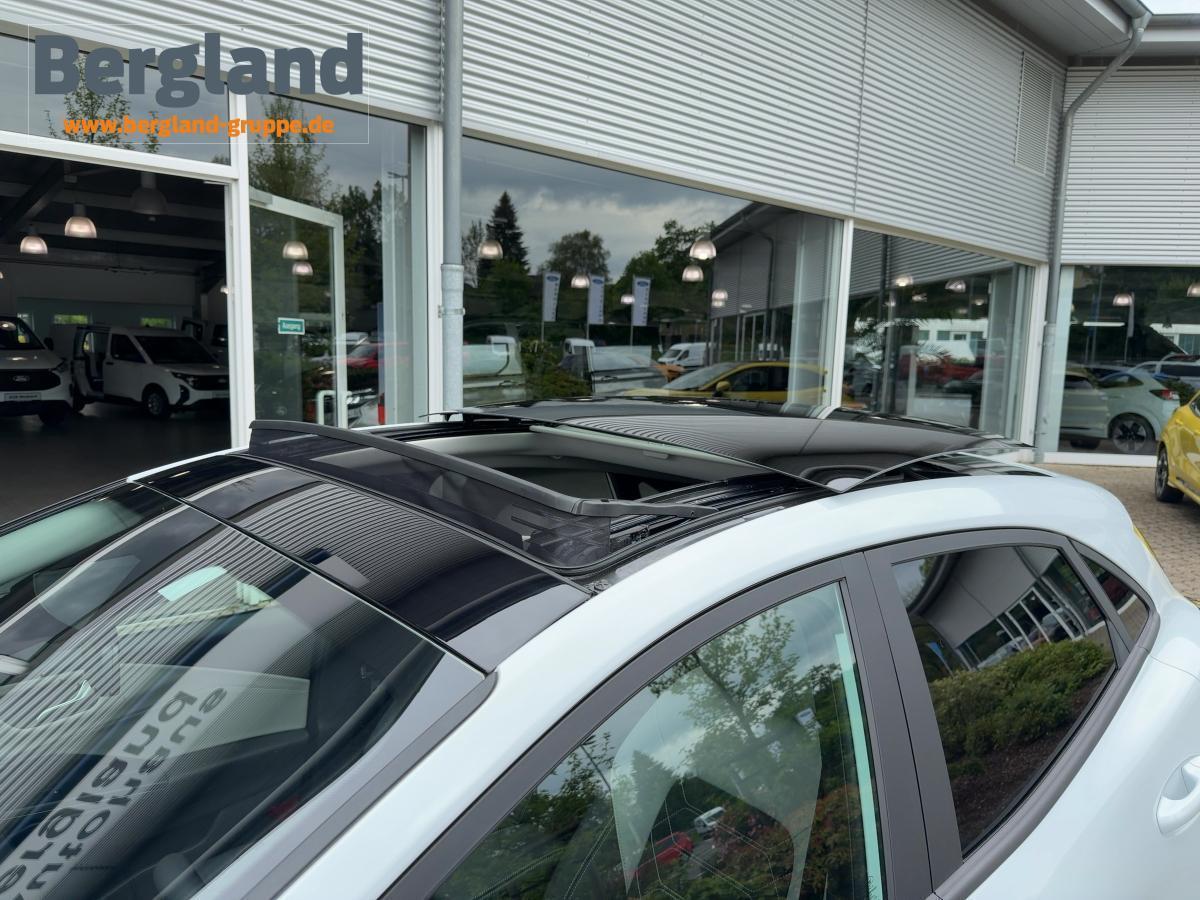 FORD Premium *Panoramadach *19 FORD Premium *Panoramadach *19
