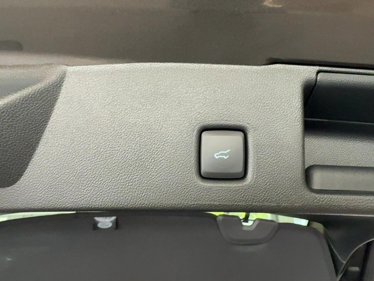 FORD BLUECRUISE Edit. 243 PS PHEV FWD VCT FORD BLUECRUISE Edit. 243 PS PHEV FWD VCT