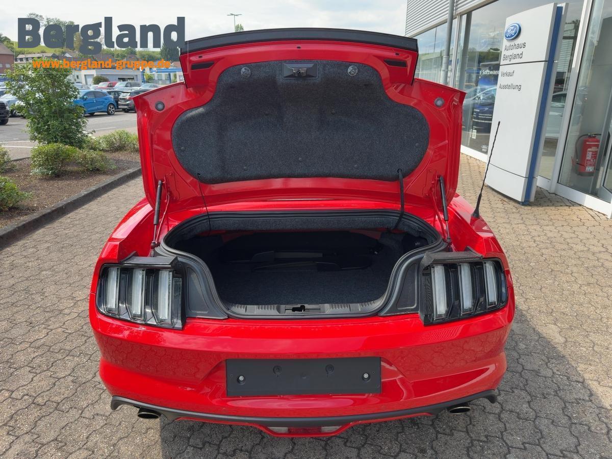 FORD GT Convertible V8 5.0L 421PS FORD GT Convertible V8 5.0L 421PS